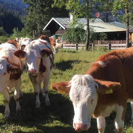 Knusperhauschen Sonnegg Horská chata