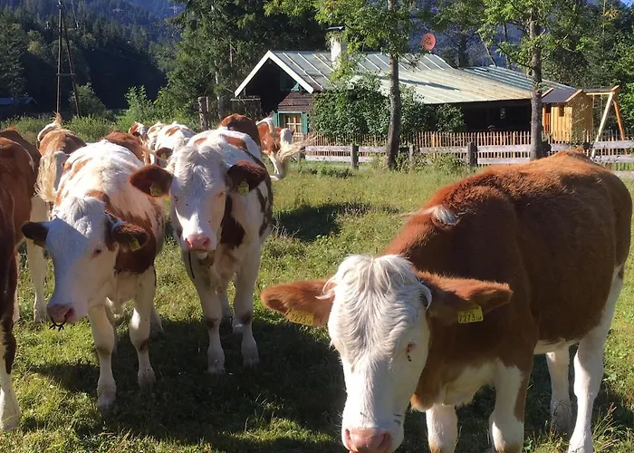 Knusperhauschen Sonnegg 샬레