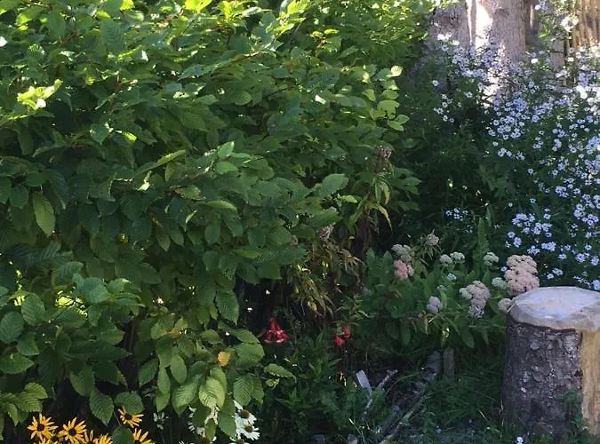 Knusperhauschen Sonnegg Flachau